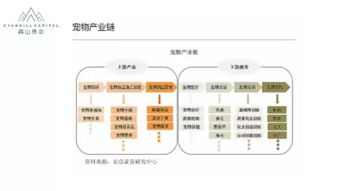 寵物食品銷售 在消費(fèi)升級浪潮中掘金新藍(lán)海