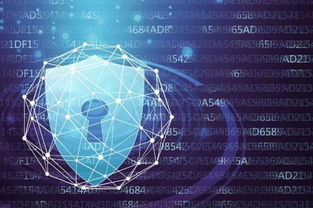 網(wǎng)貸系統(tǒng)等級(jí)保護(hù)備案與網(wǎng)絡(luò)信息安全軟件開(kāi)發(fā)